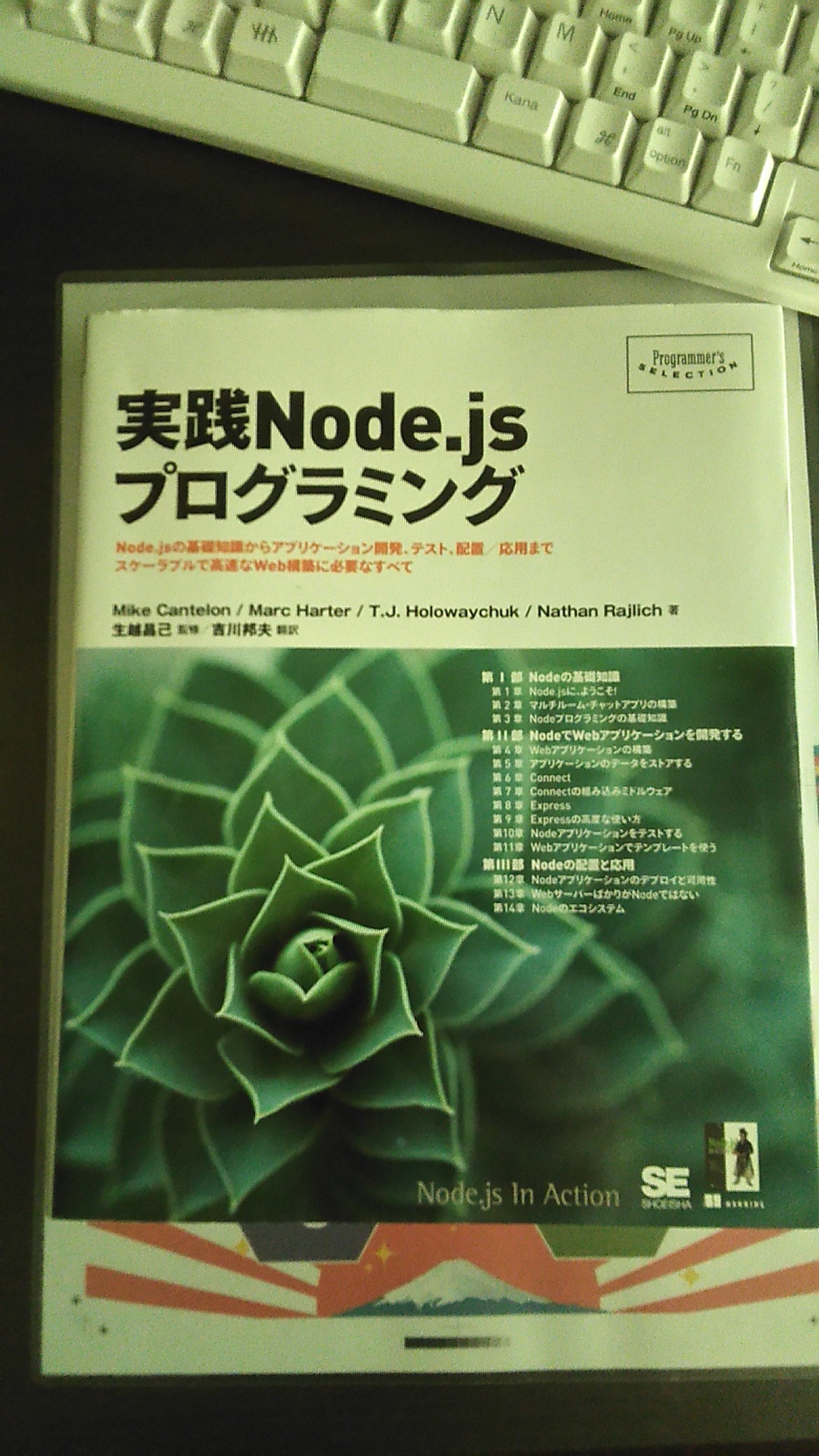 nodejs_book